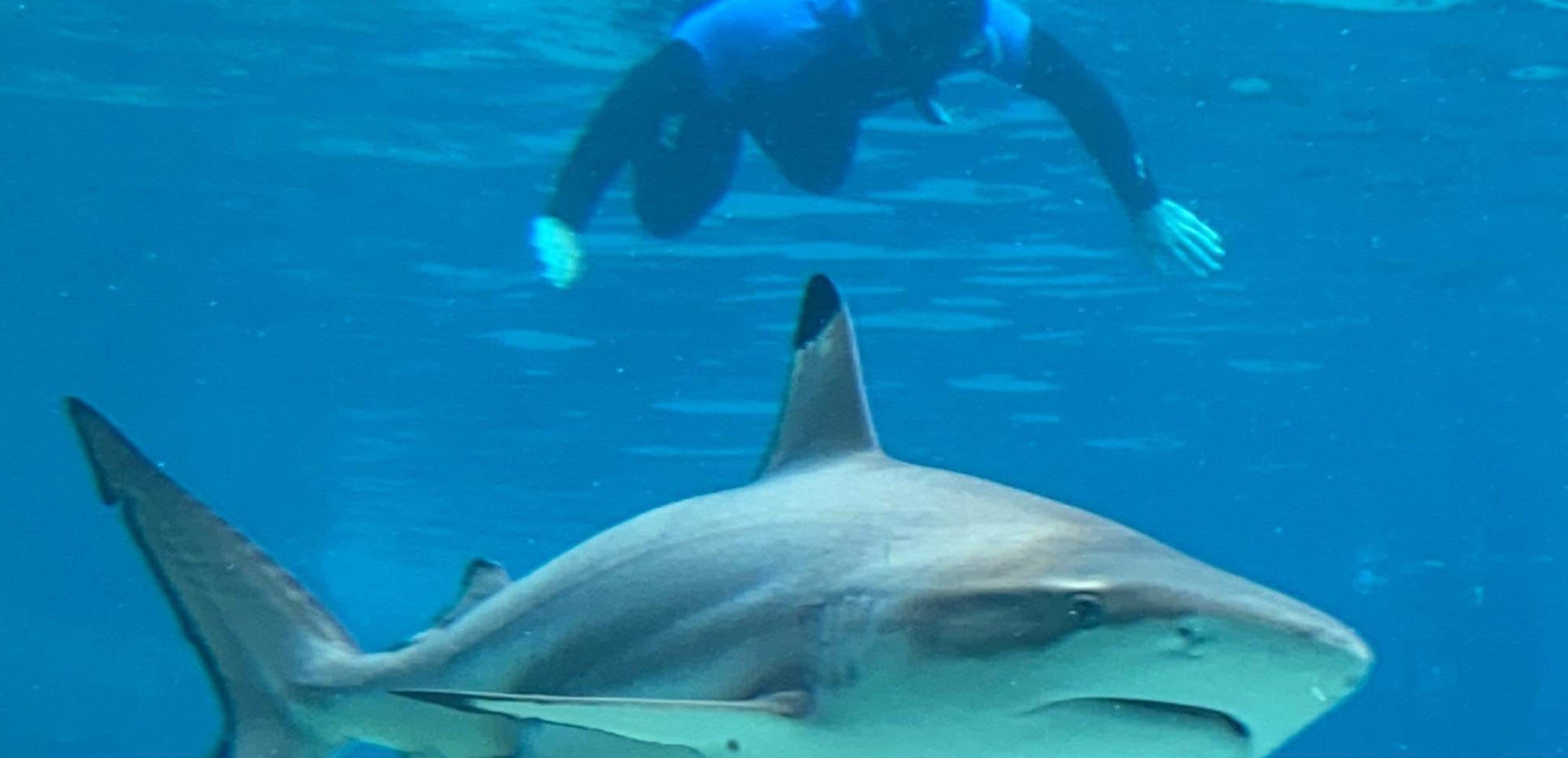Yes, you can go snorkelling with a disability!