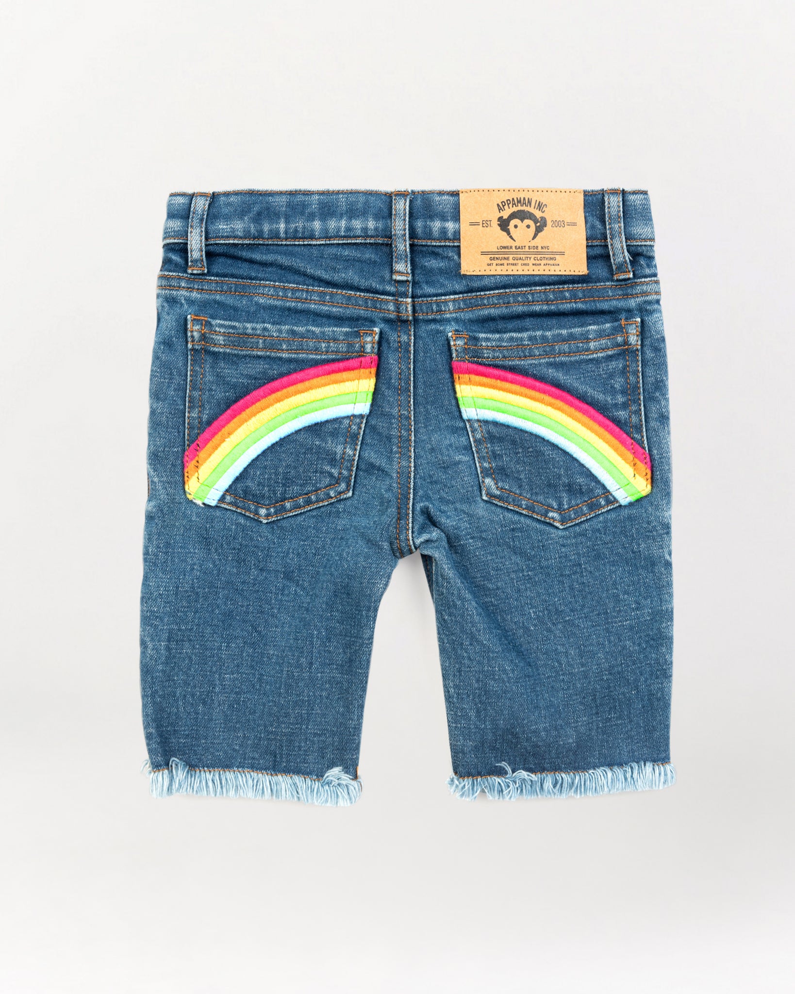 Rainbow Jean Shorts