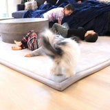 Gigantic Blanket